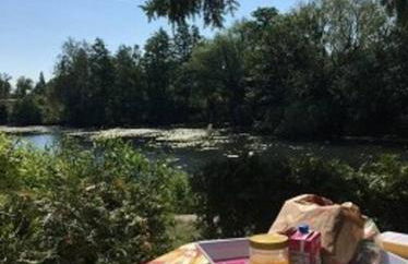 Ferienhaus mit Wintergarten am See (Angelparadies) - Foto 26