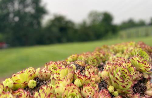 Cascina Mabette - Foto 43