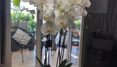 Diamond City Lux Apartment - Foto 4