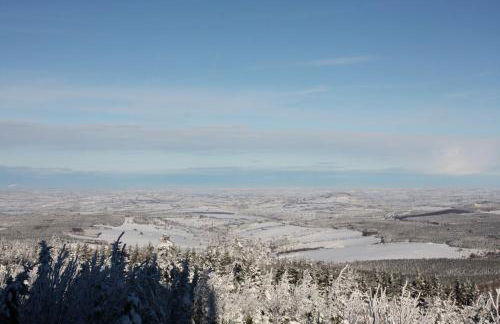 Appartements Gahler - Kurort Oberwiesenthal - Foto 45