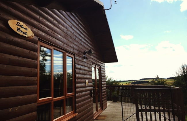 Silver Birch Lodge With Hot Tub Near Cupar, Fife - Foto 15