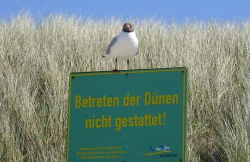 Seevilla Wietjes Whg 3 - Foto 11