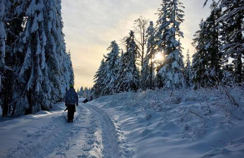 Ośrodek Nad Potokiem - Foto 13