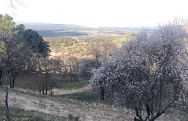 Nido Estebana - Foto 38