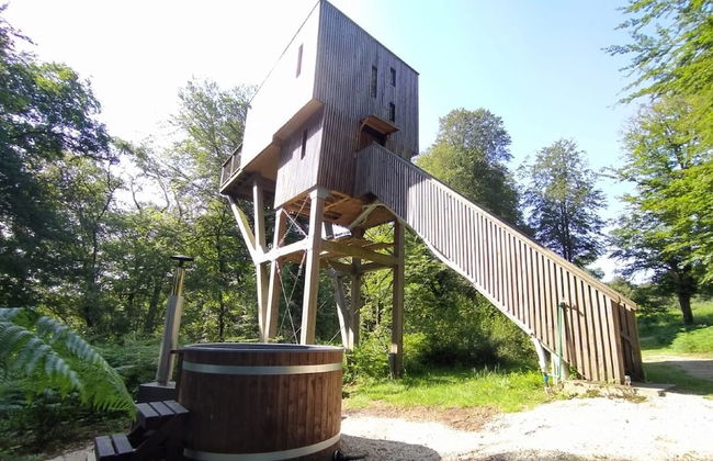 Etape en forêt - Foto 34