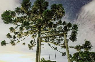 Reserva Cabanas - Foto 74