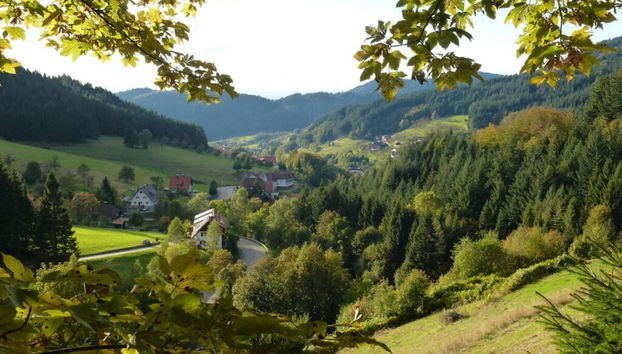 Seegerhaus Comfortable Holiday Residence - Foto 3