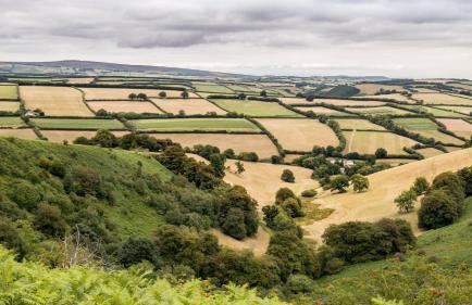 1 Lower Spire - Foto 23