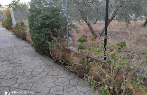 LOS ABUELOS - Foto 38