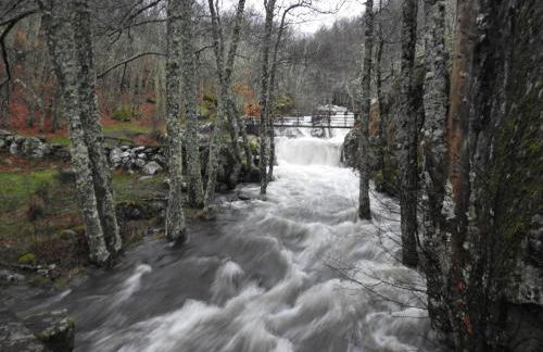 Casa de la Cigüeña - Foto 22