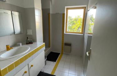 Grand Appartement Hypercentre avec Terrasse et Parking - Foto 13