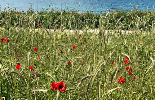 Amsel Appartements - Geruhsam, Sonnig & Zentral - 3-Zimmer-Apartment - Foto 12