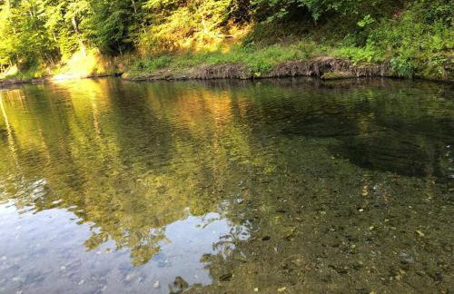 Liberty Cabin on Collier Creek - Foto 39