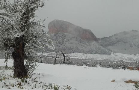 El Palomar de Peñarrubia - Foto 7