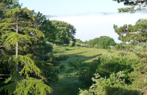 Castello Di Giomici - Foto 55