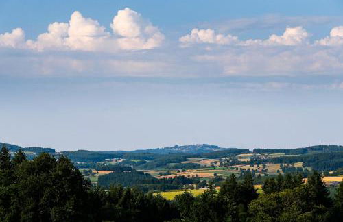 Les Perruchons ancienne grange rénovée avec soin - Foto 43