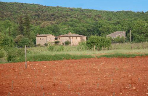Agriturismo Novelleto - Foto 69