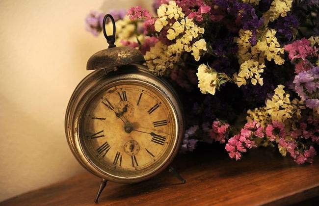 Agriturismo Il Gioco dell'Oca - Foto 39