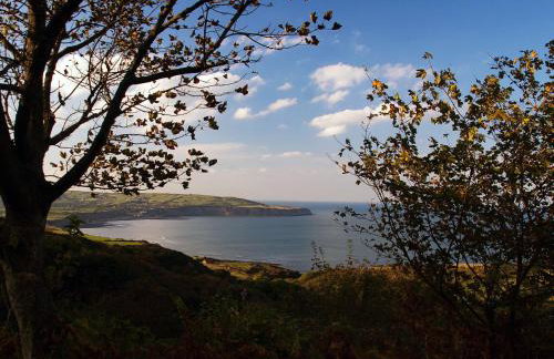 The Yorkshireman - Foto 28