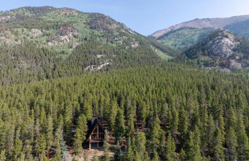 A Frame Escape - Highway 82 in Twin Lakes, CO - Foto 29