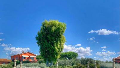 Agriturismo Piani Della Marina - Foto 4