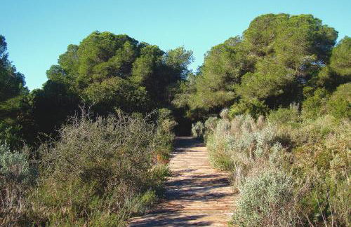 Albufera Dreams Nature Suites - Foto 111