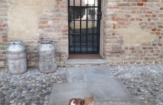 Agriturismo Cascina Pezzolo - Foto 35