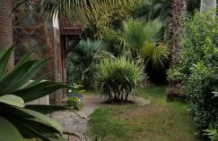 La Casita de la Vega - Foto 58