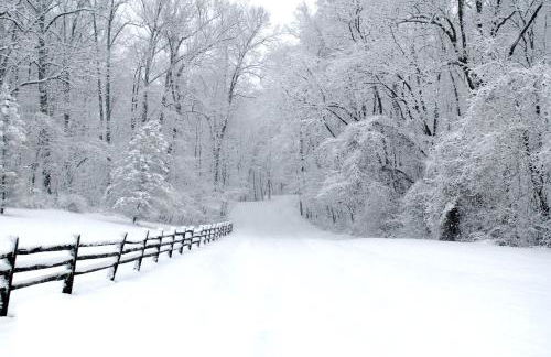 Paddler's Lane Retreat - Foto 54