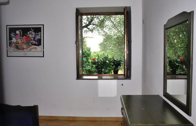 Il Ruscello di Ceraso - Foto 4