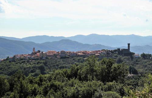 Fattoria Cristina - Fenice - Foto 19