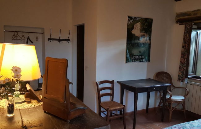 Agriturismo Bio I Rondinelli - Foto 16