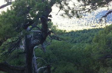 Casas Cueva el Mirador de Galera - Photo 50