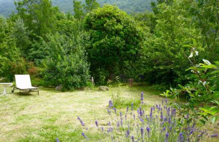 Borgata Castello - Foto 32