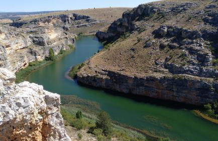 El nido del Mirlo - Foto 17