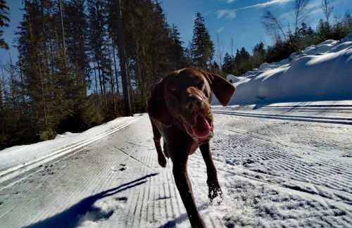 Ferienhaus Schachtenbach - Foto 23