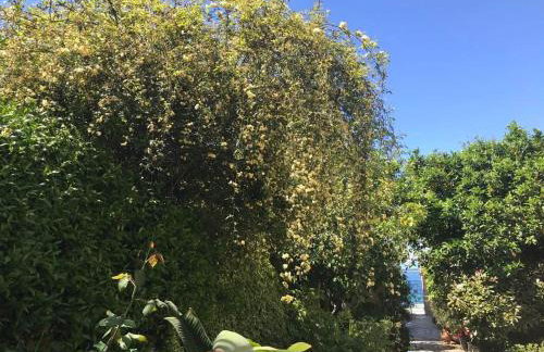 AFISSOS-DREAM 3STUDIOS - Photo 55