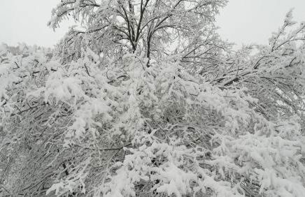 Gites Cap du Hautacam - Foto 10