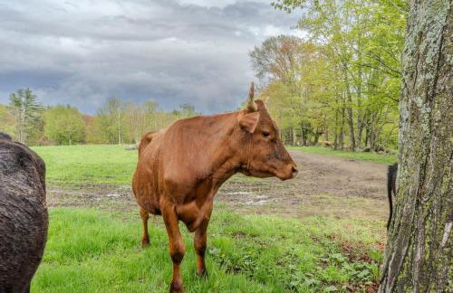 D-Miles Smith Farm Suite - Foto 9