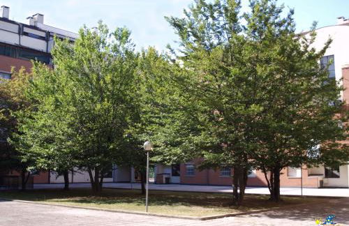 Mago Zurli' - Foto 40