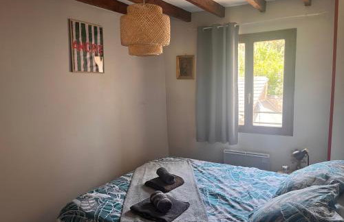 Appartement de la Brèche - Quartier historique Chartres - Foto 7