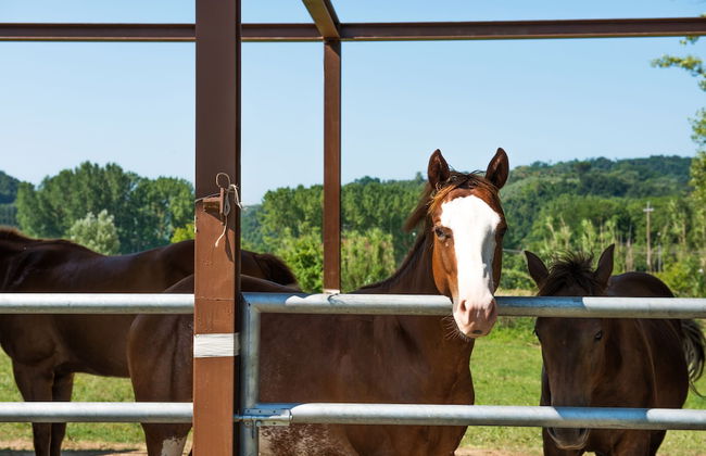 Relais Sassa al Sole - Foto 73