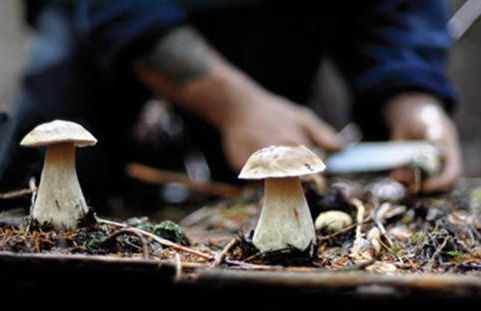 Welcome at Poggio Cantarello Country Home Tuscany - Foto 73