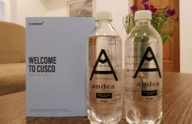 w Phenomenal 1BR Near Plaza Mayor de Cusco - Foto 6