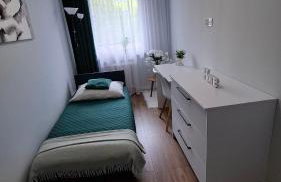 Zielony Makusz - Foto 3