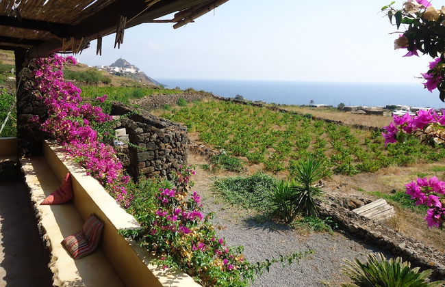 Agriturismo Zibibbodoro - Foto 24