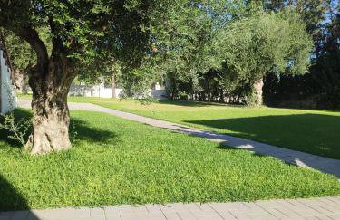 Panorama beach - Foto 44