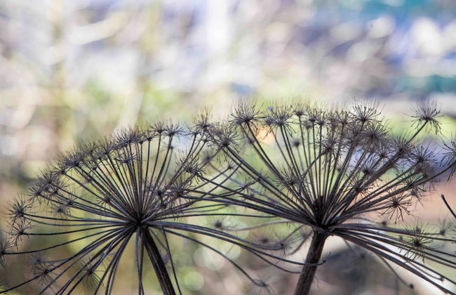 MyCityLofts - Oostzeedijk - Photo 1
