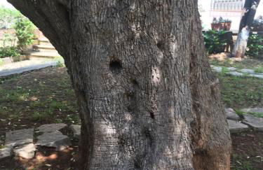 Residence Santa Maria Suites - Foto 53