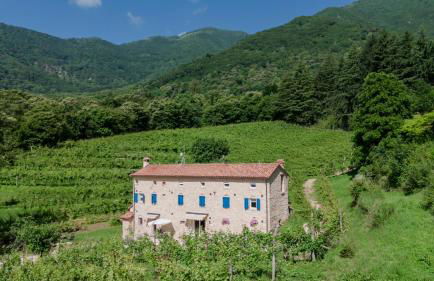 Agriturismo Podere del Bosc - Foto 1